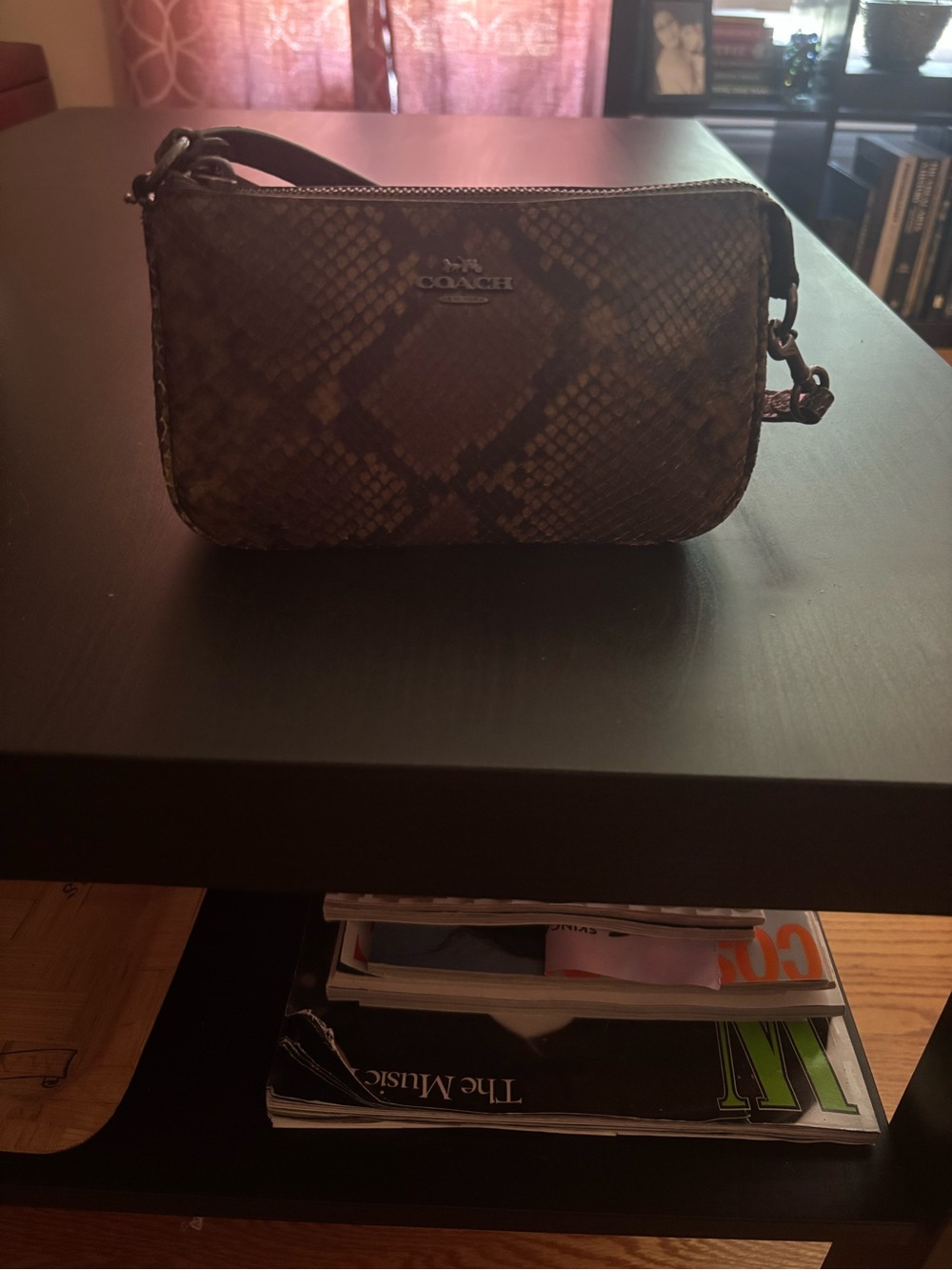 Coach Brown Snake-Print Wristlet Clutch